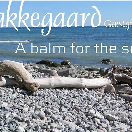 Bakkegaard Mons Klint Borre